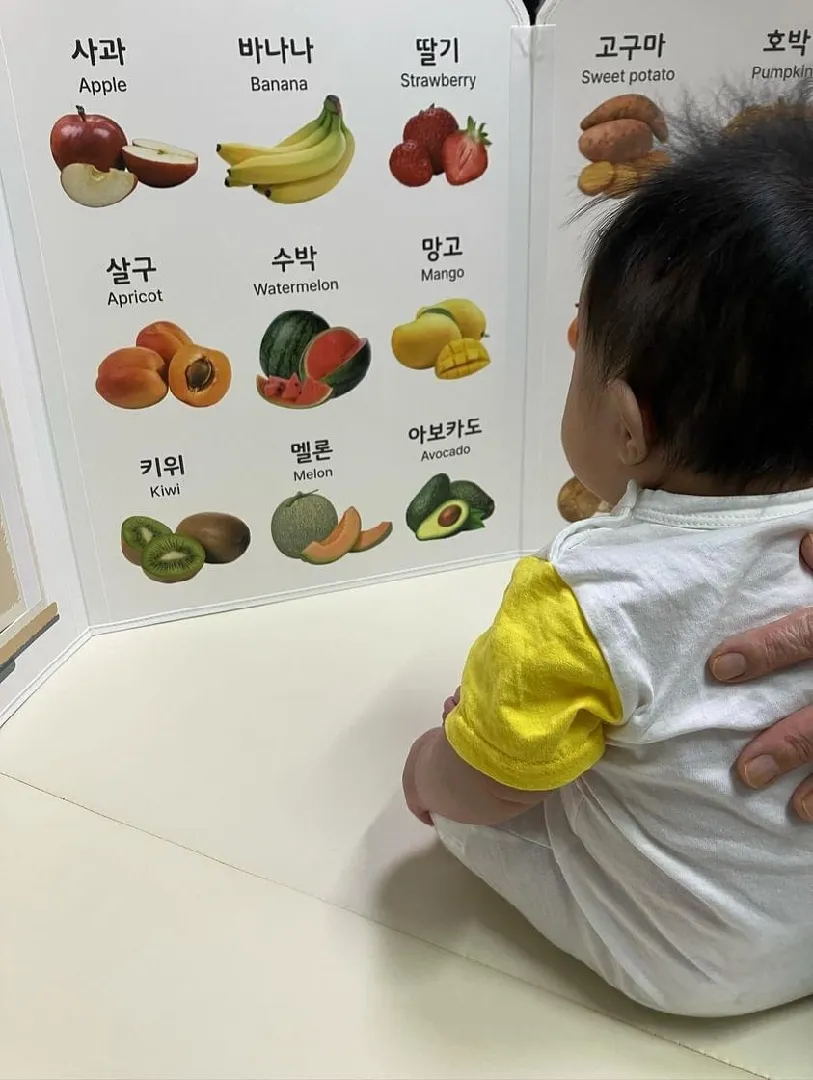 미리 공부(?)하는 포도