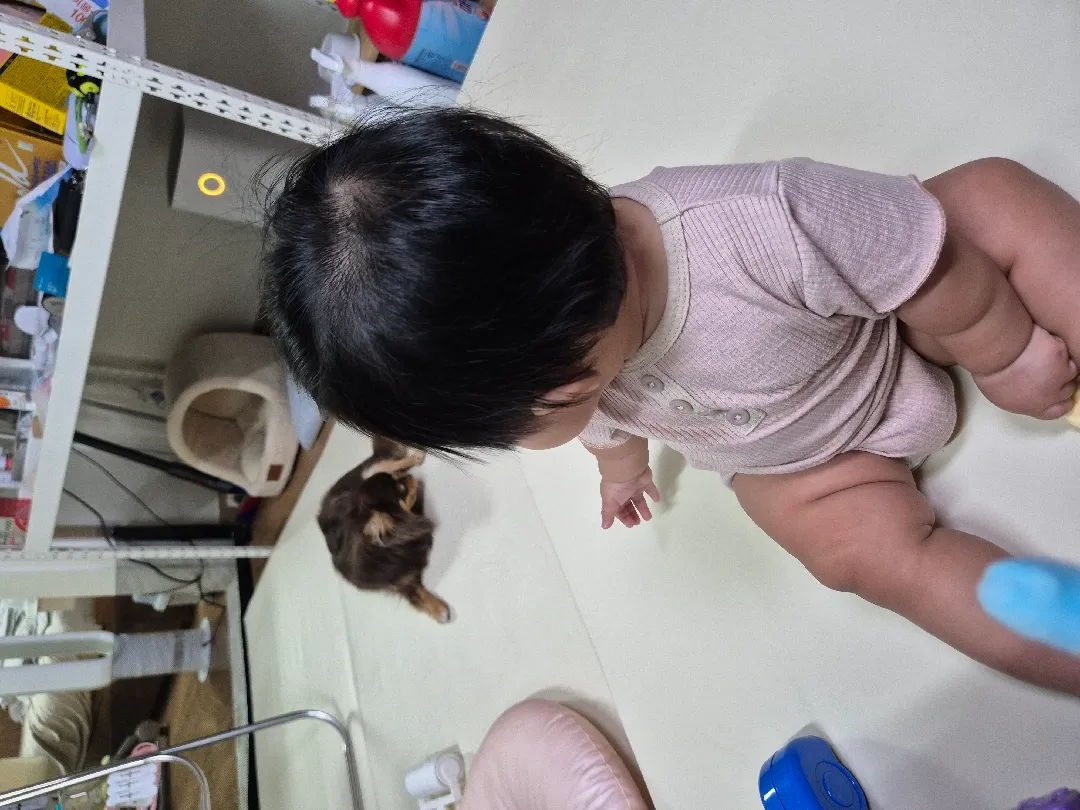떡뻥뺏긴 포도 🤣🤣🤣