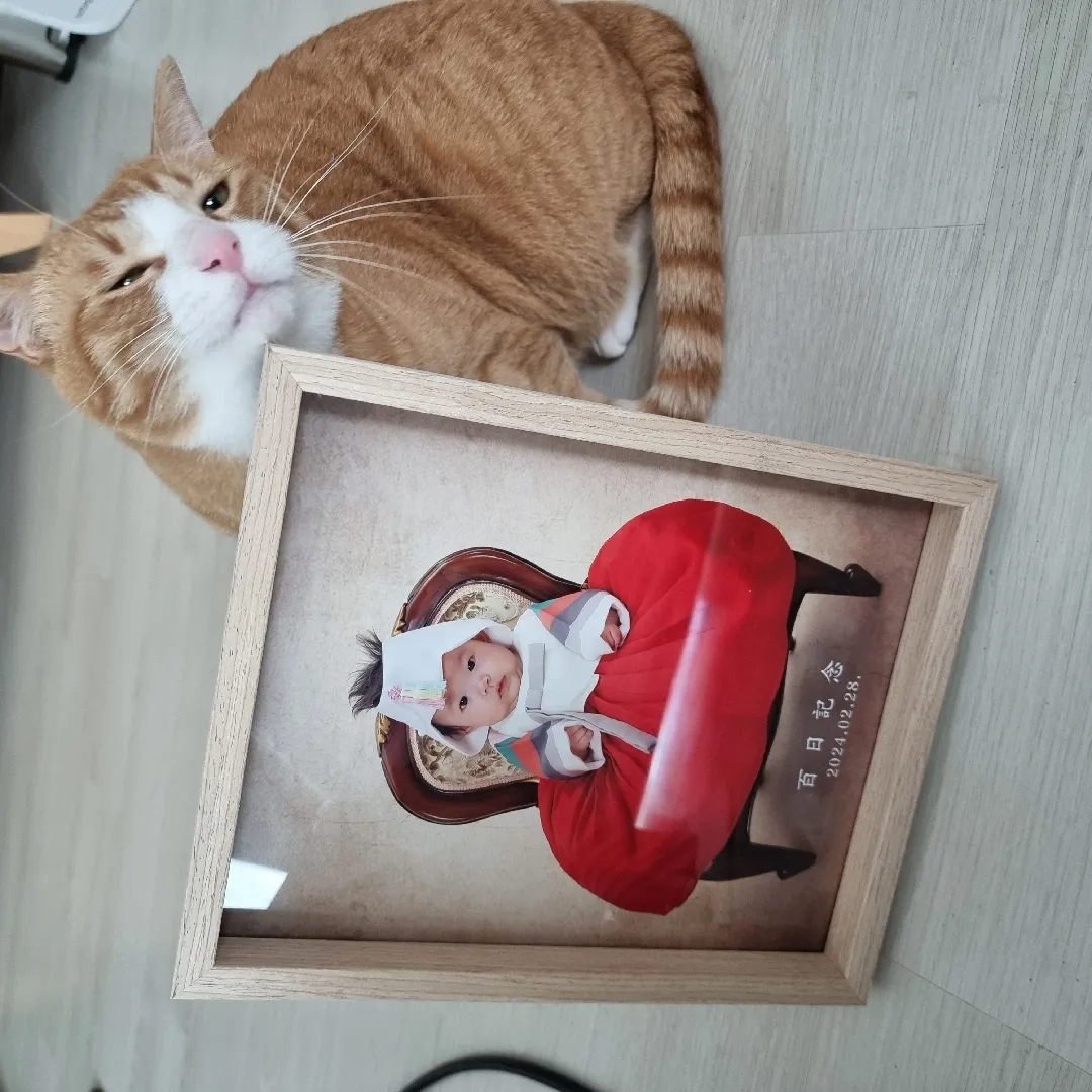 100일 사진받아왔어요!