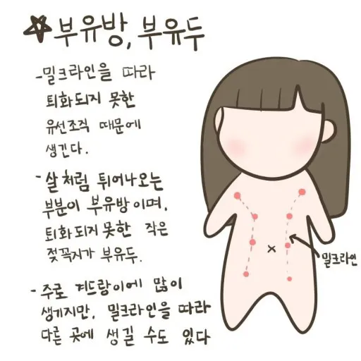 부유두 <라고 들어보셨나요..? 