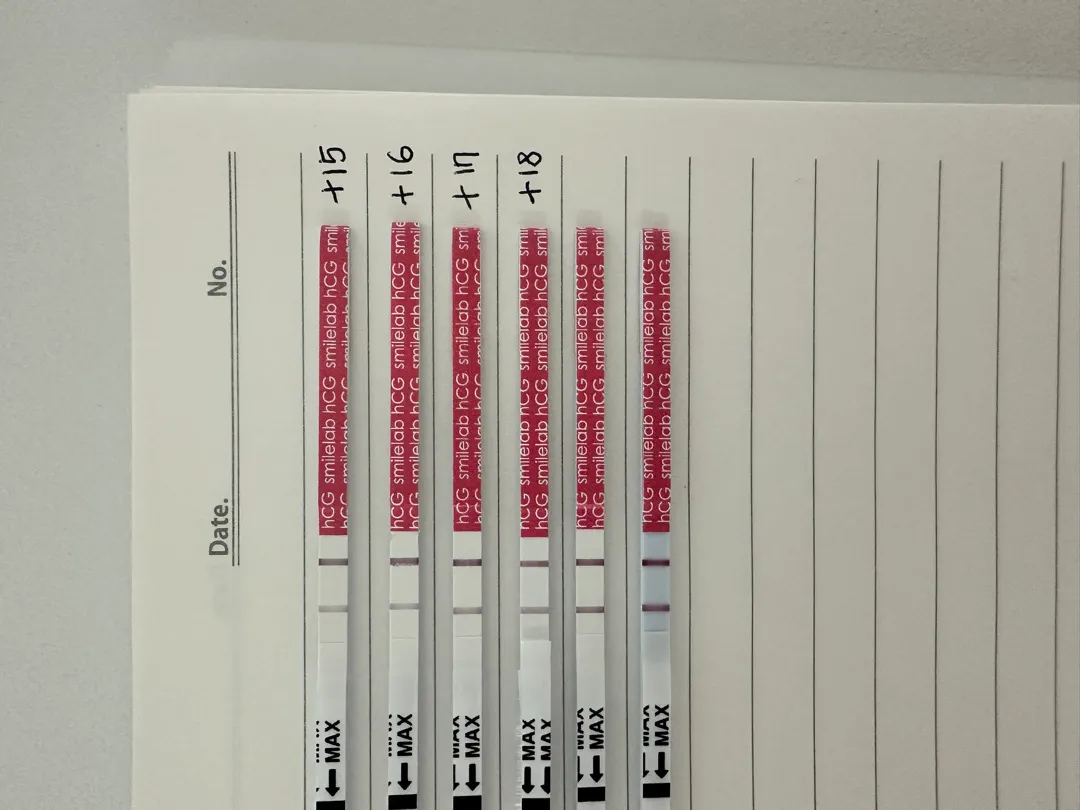 5일배양 18일차 임테기