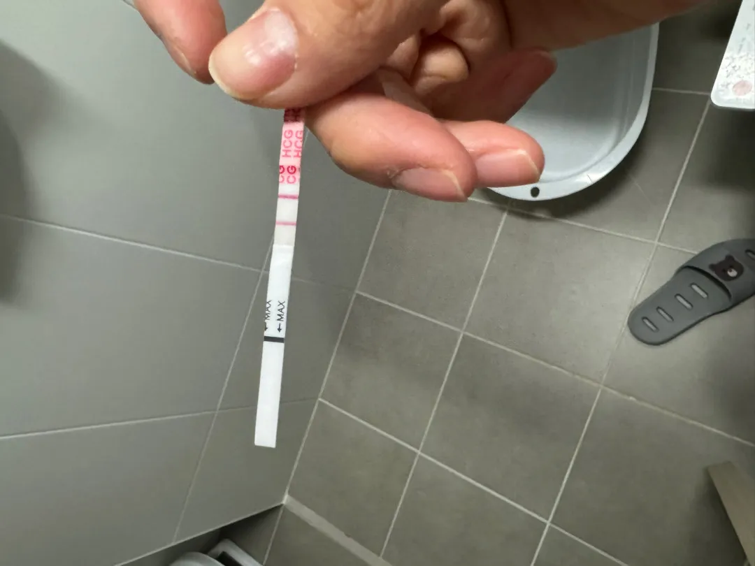 연년생도 아닌 동년생...