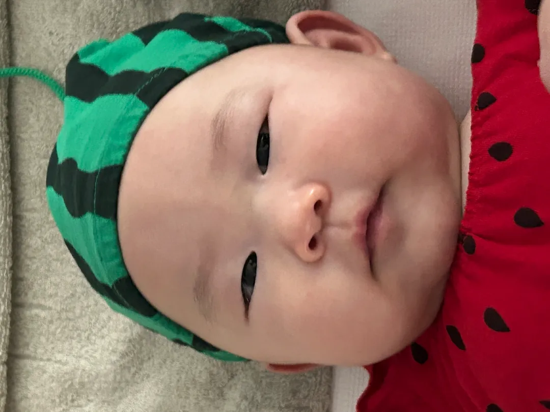 여름인거같아서 수박 개시🍉🍉