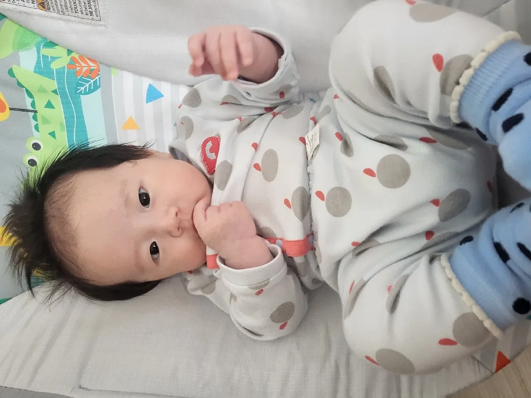 주먹고기 가 맛있어요 