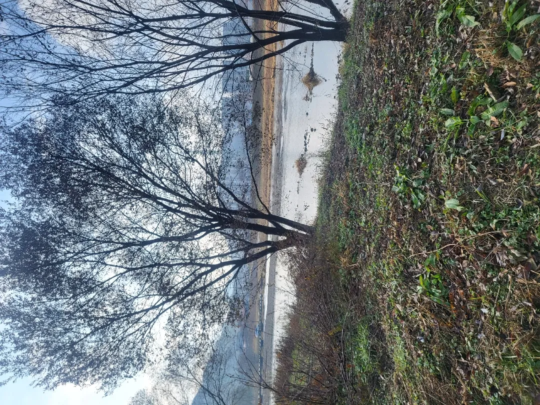 산책 
