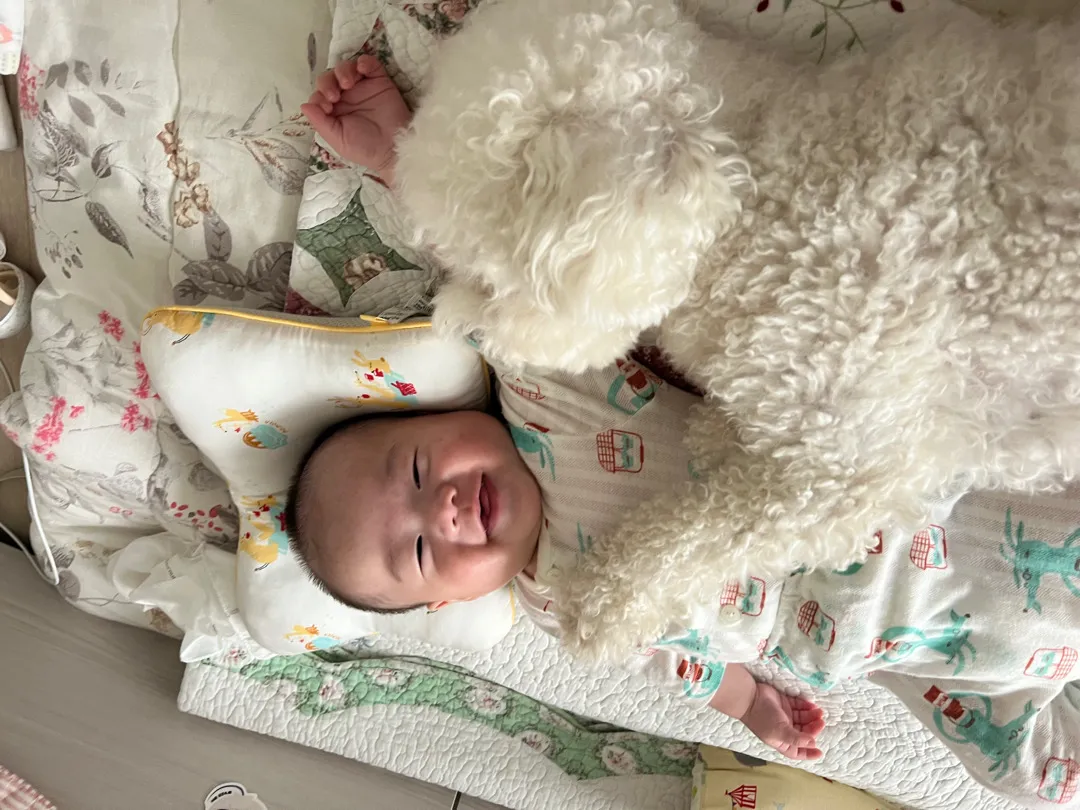 애 개 육아👼🏻🐶
