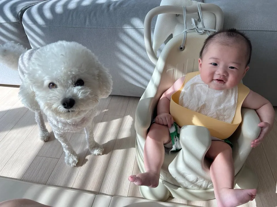 이유식...