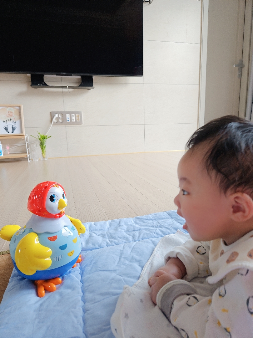 뒤집기