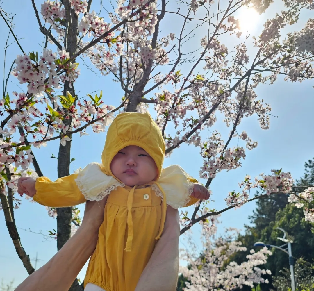 기분이 나쁜 아영이도 드뎌 벚꽃막차탑승요~~~!