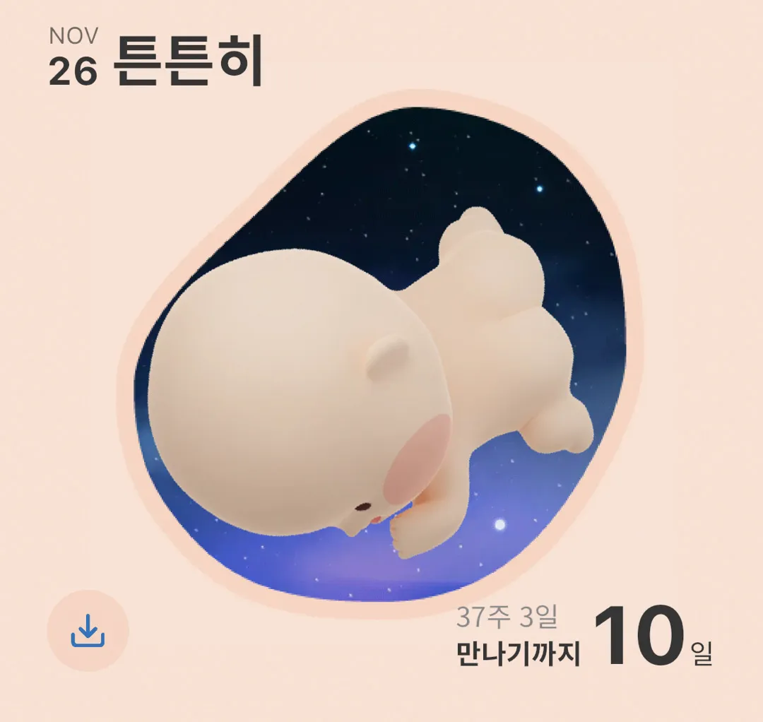 디데이10일입니다