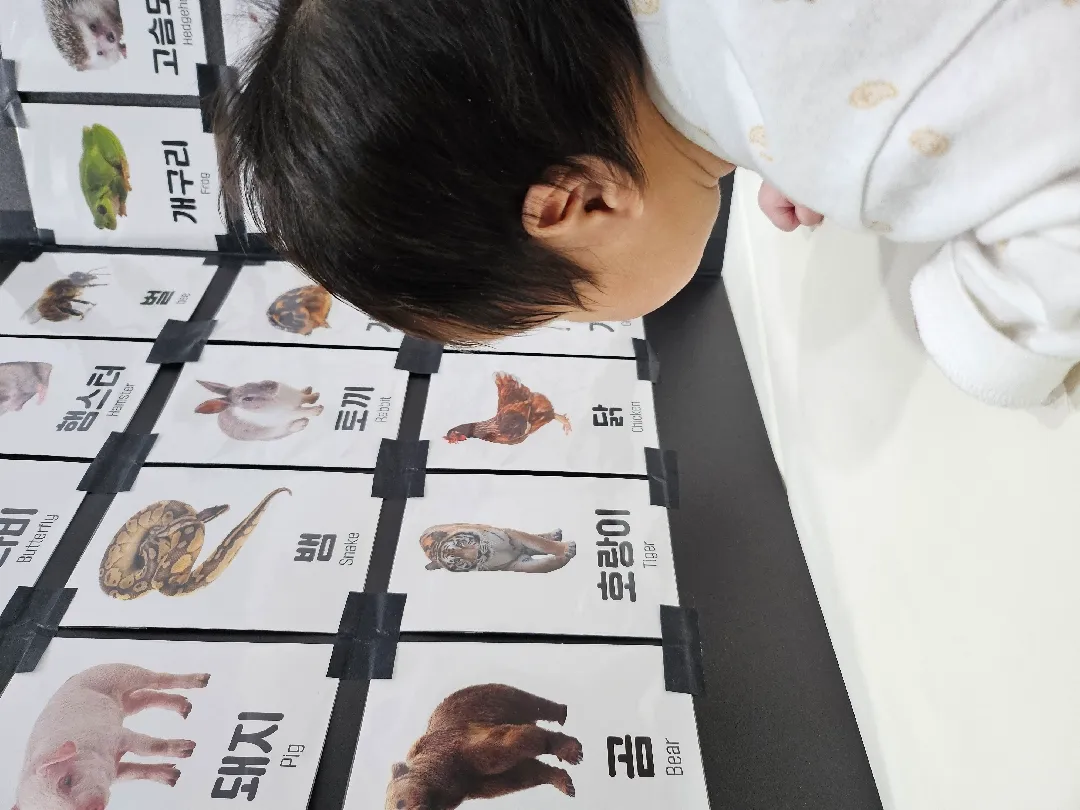 저도 터미타임 올려봅니당ㅎㅎ