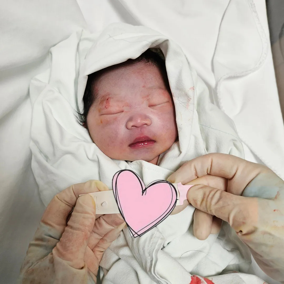 토리나왔어요💓💓