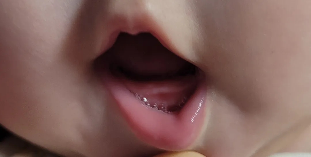 오늘 116일차 이사진 이나려고하는거 아니죠?