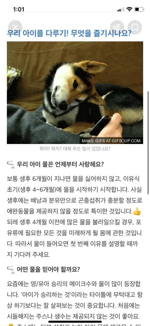 베이비빌리에 글들 저만 이상한가요....?