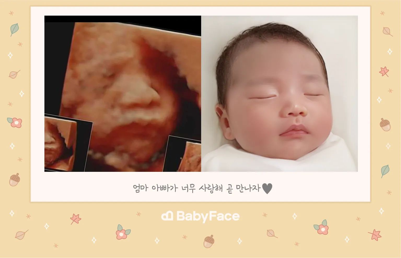 우래기 입초 베이비페이스