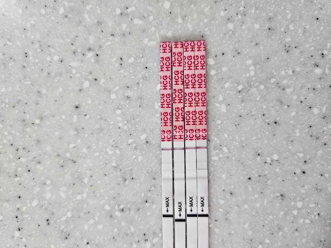 생리예정일 임테기