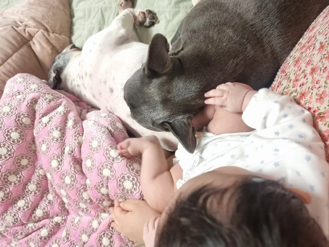 엄마바라기들 현실애개육아🐶🐶