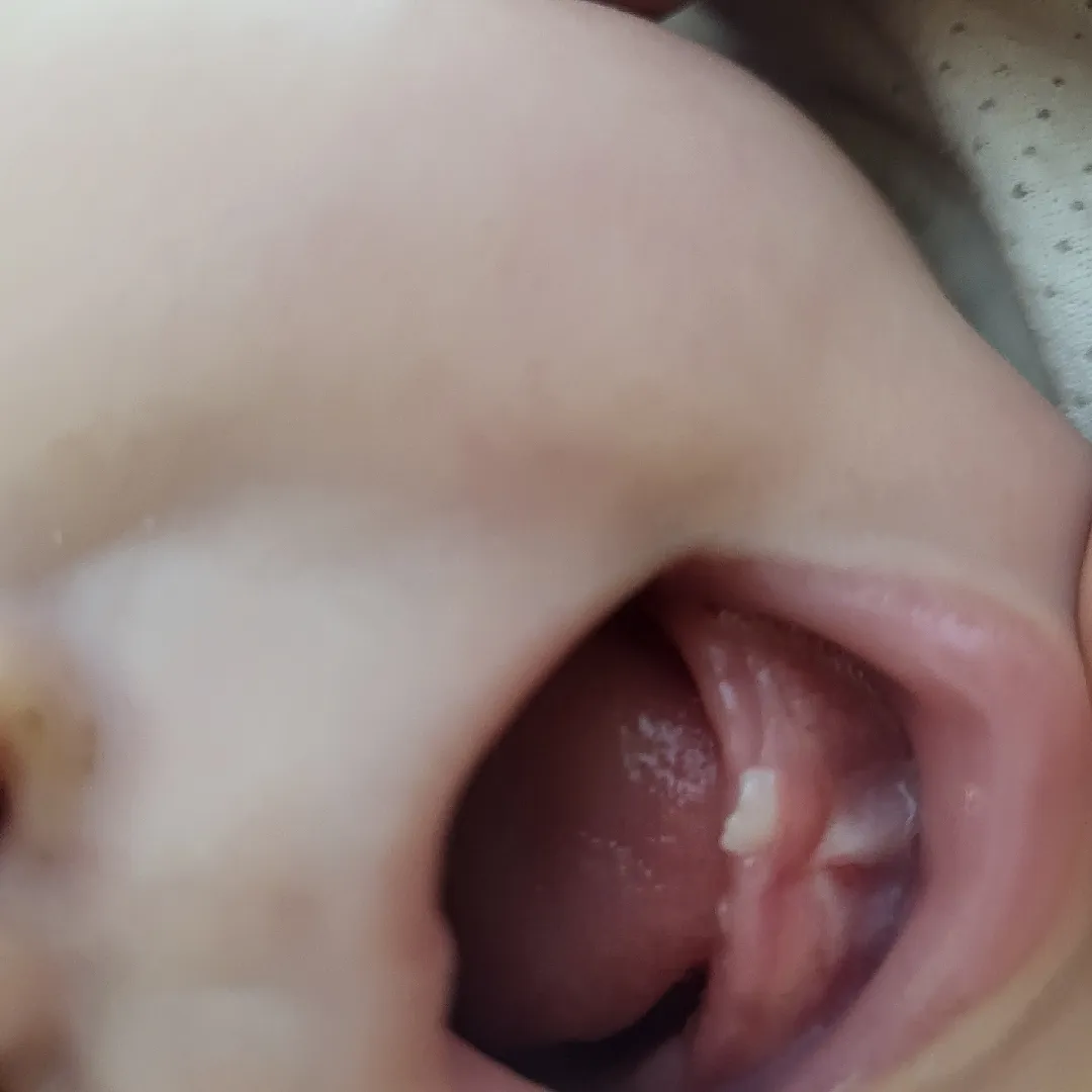 아기 이좀 봐주세용