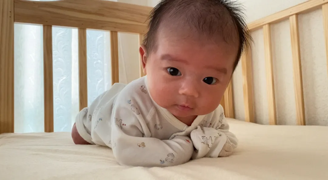 머리 쿵 한적 있으세요?