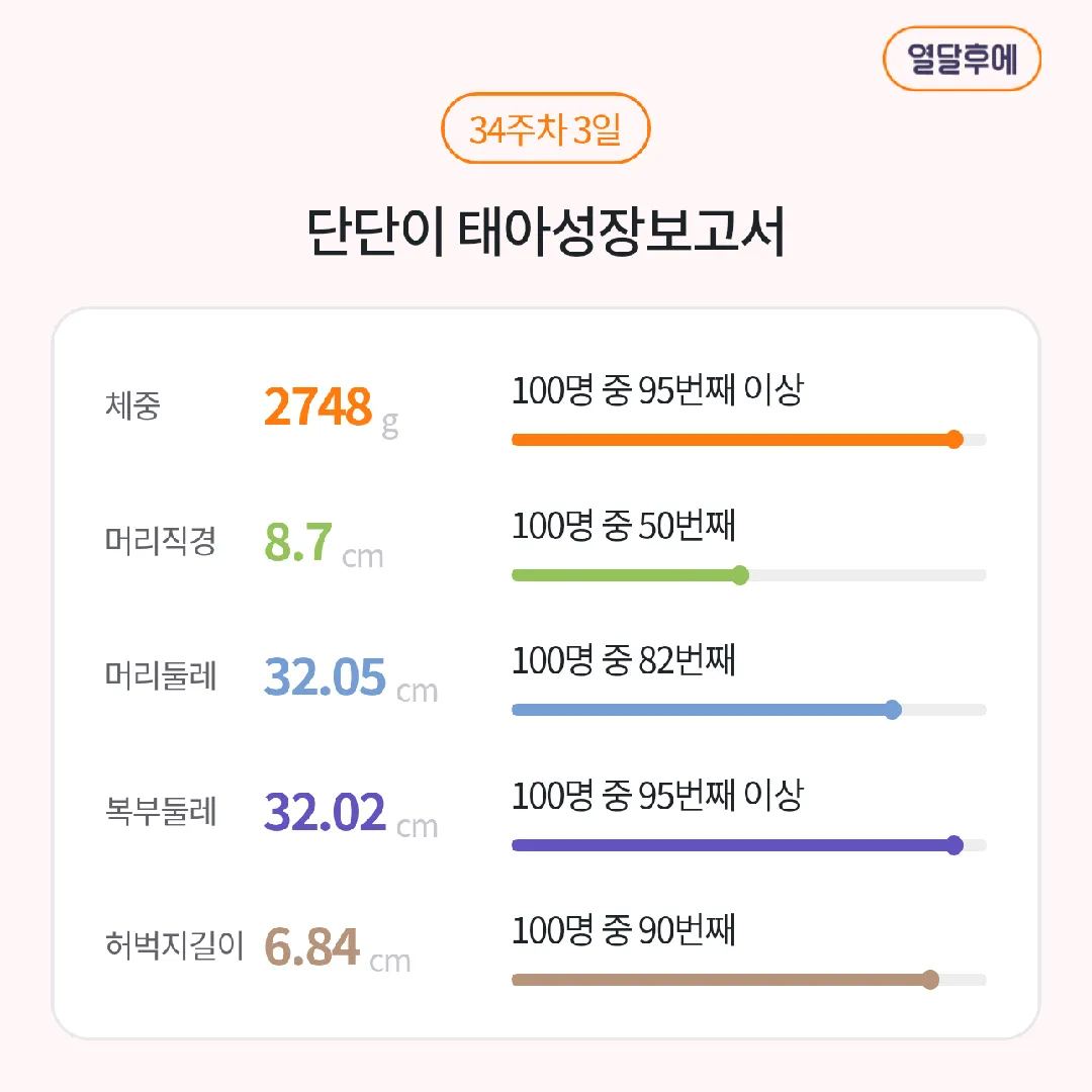 3월 25일 35주 2일차 