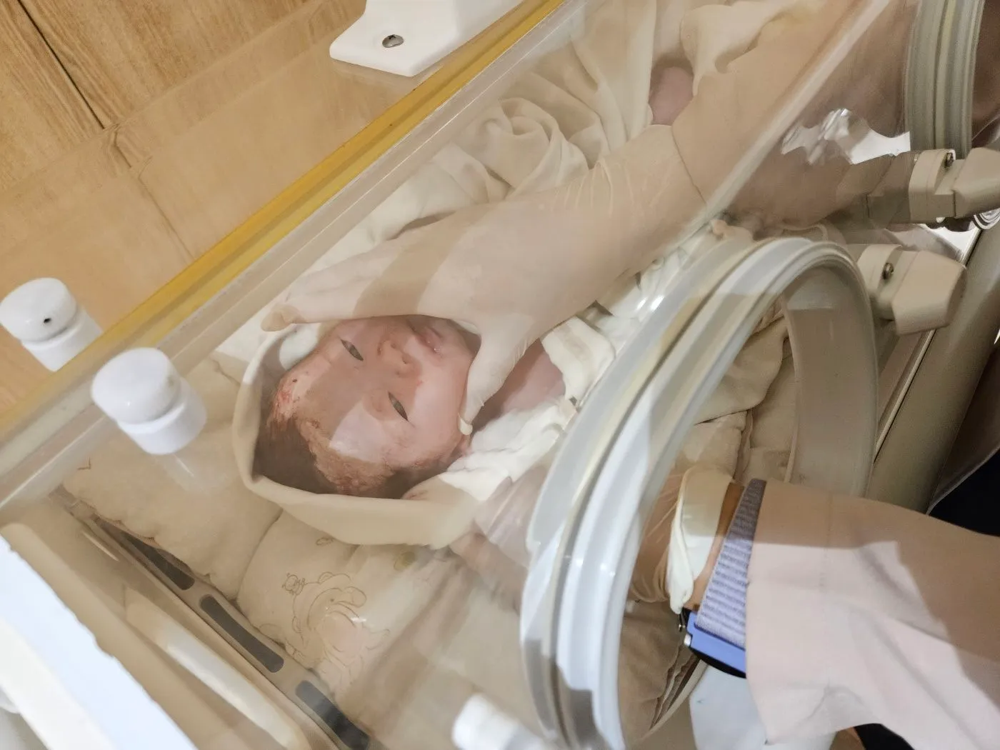 콩닥이 탄생👶🏻💗💗💗