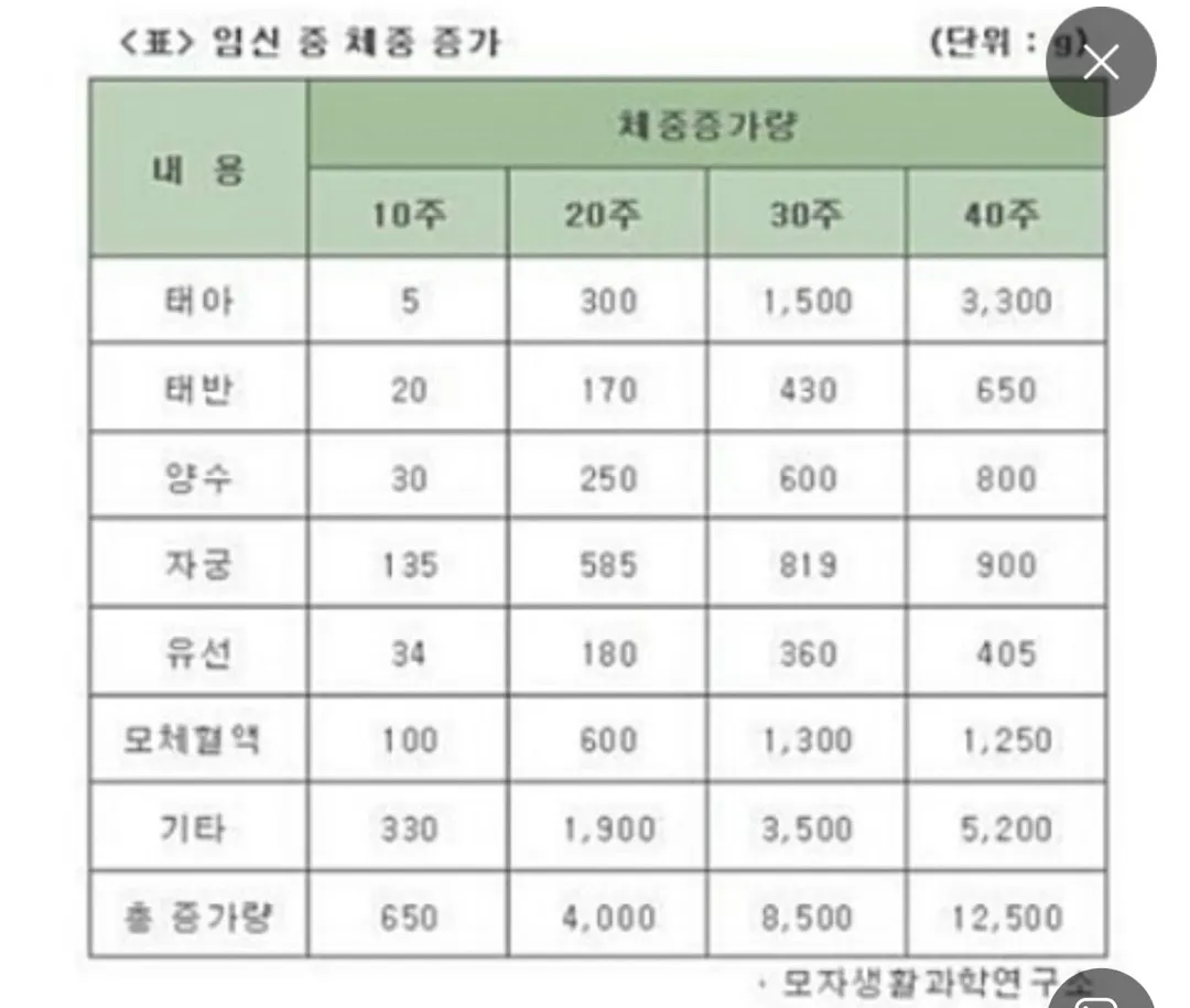 양수무게 태반무게 참고하세용 🥹
