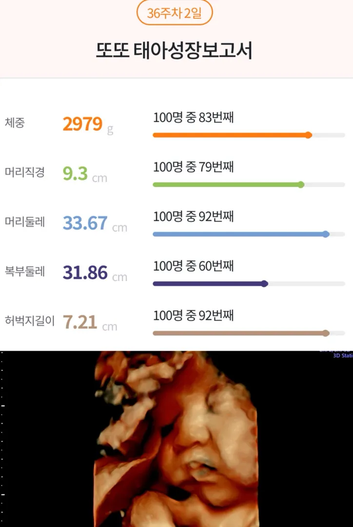 36주 2일 가을남자 또또🍁🍂🍃