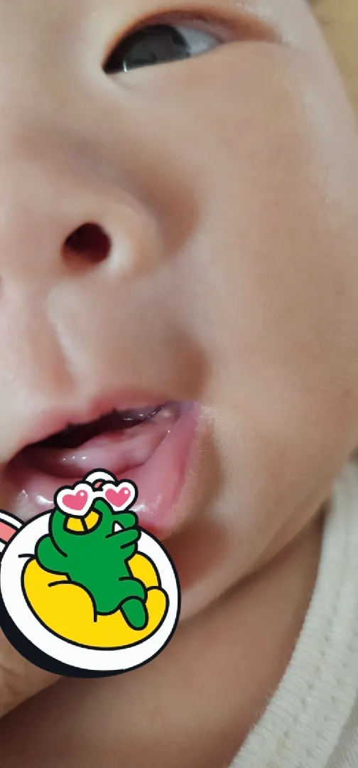 이날려는건가요?