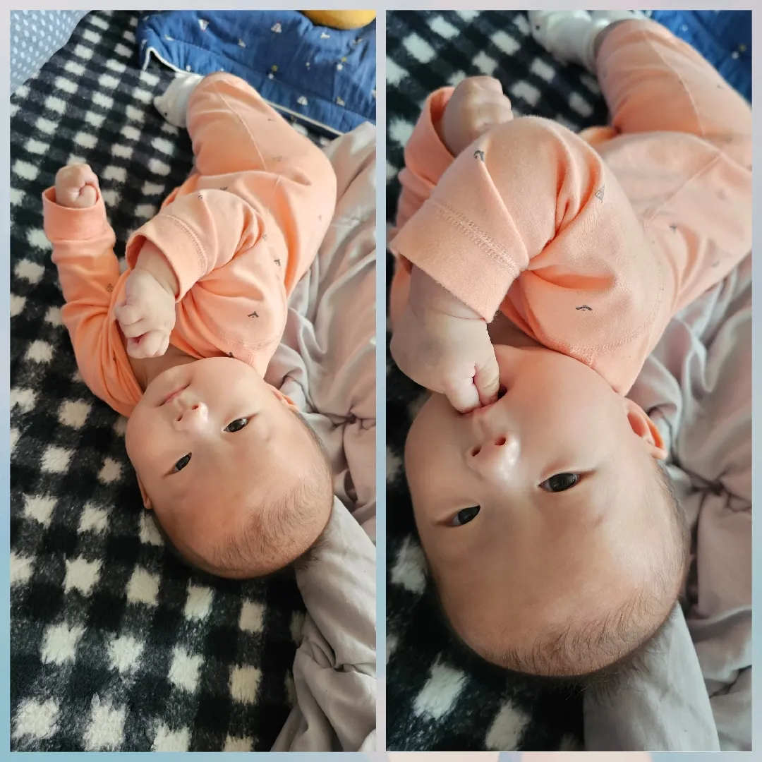 4월달 동그리보고