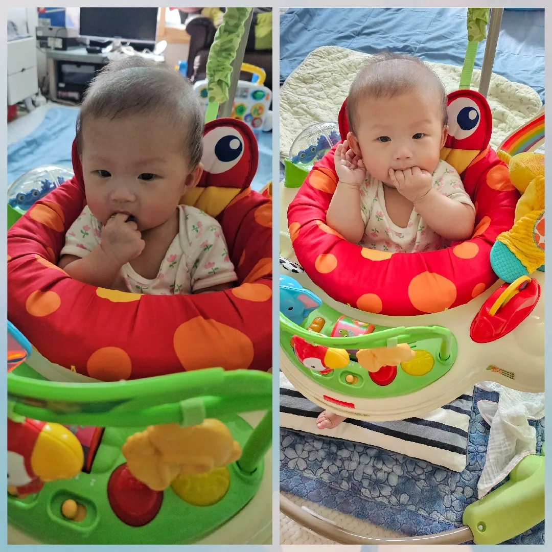 점퍼루 2일차