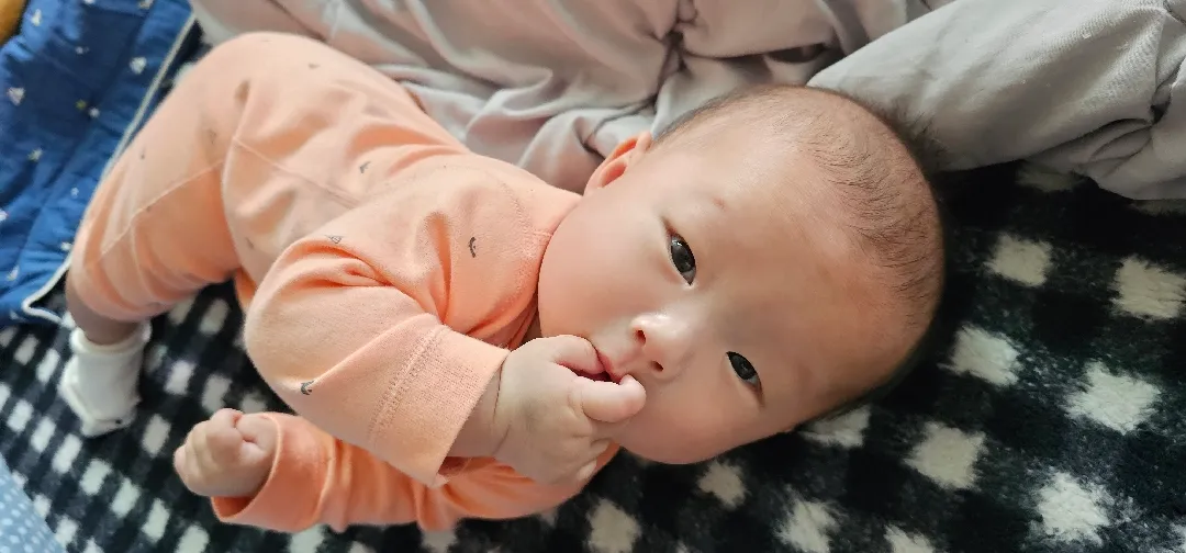 왜 안 뒤집을까요?🥺