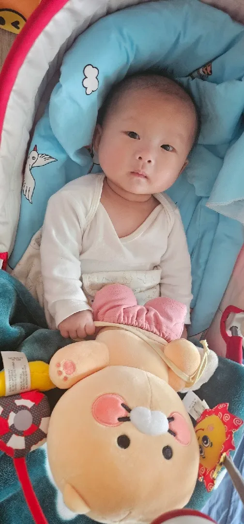 춘식이 꽉 잡고 안 놔주는 동그리