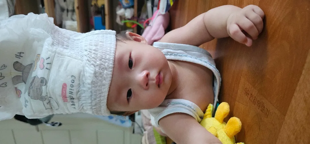 라따뚜이 동그리예요❤️