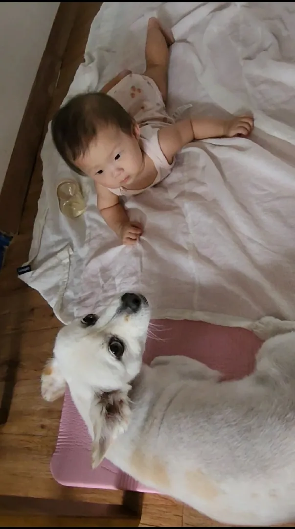 🥺얼른 퇴원하고파여