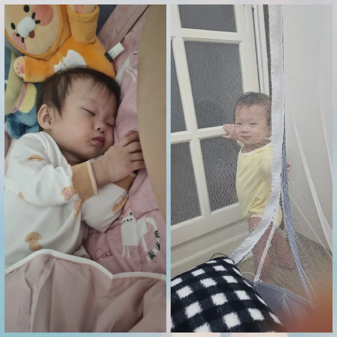 요근래 매운맛 육아네요🤣