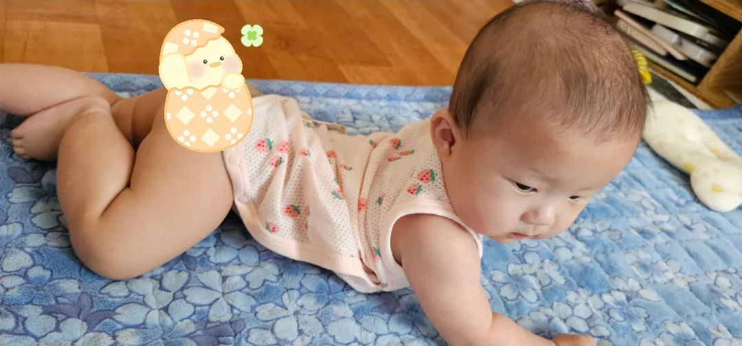 사진 좀 그만 찍어