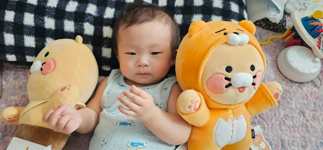 아침부터 사고 친 동그리