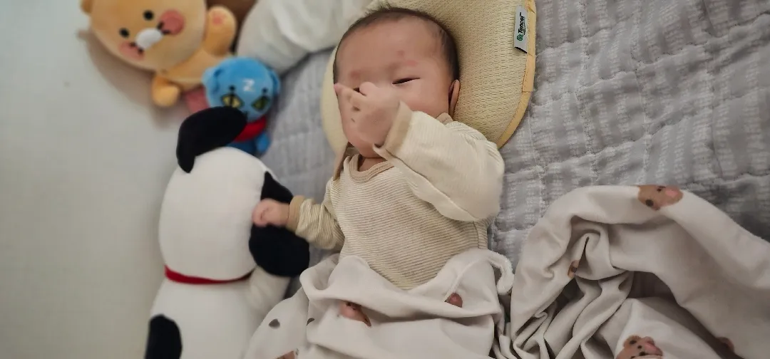 불만 많은 동그리