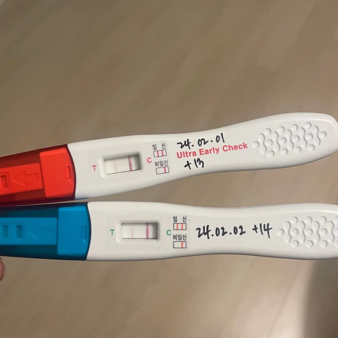 배란14일차!