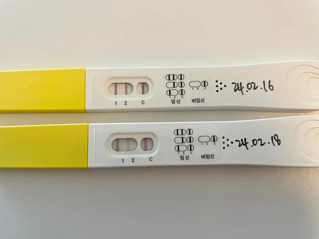 파이널 테스트기 심소시기