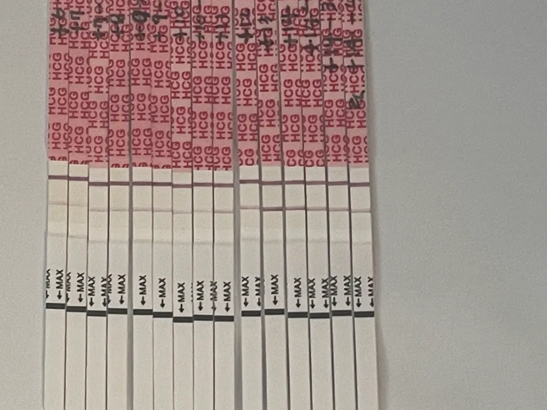 2차 피검 통과후 임테기 연해짐