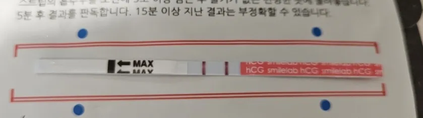 혹시 이 정도면 아기집 볼 수 있을까요?🙏