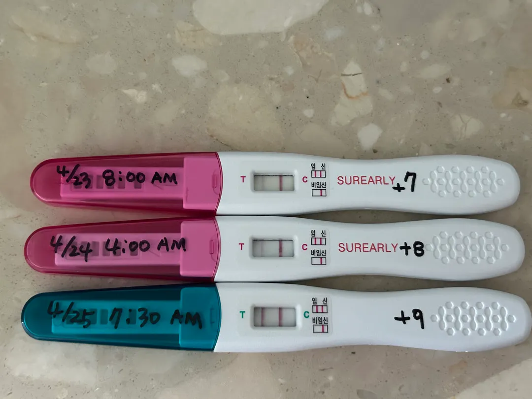 (시험관)임테기 좀 봐주세요