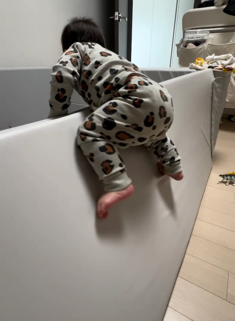 왜 이러는 걸까요?