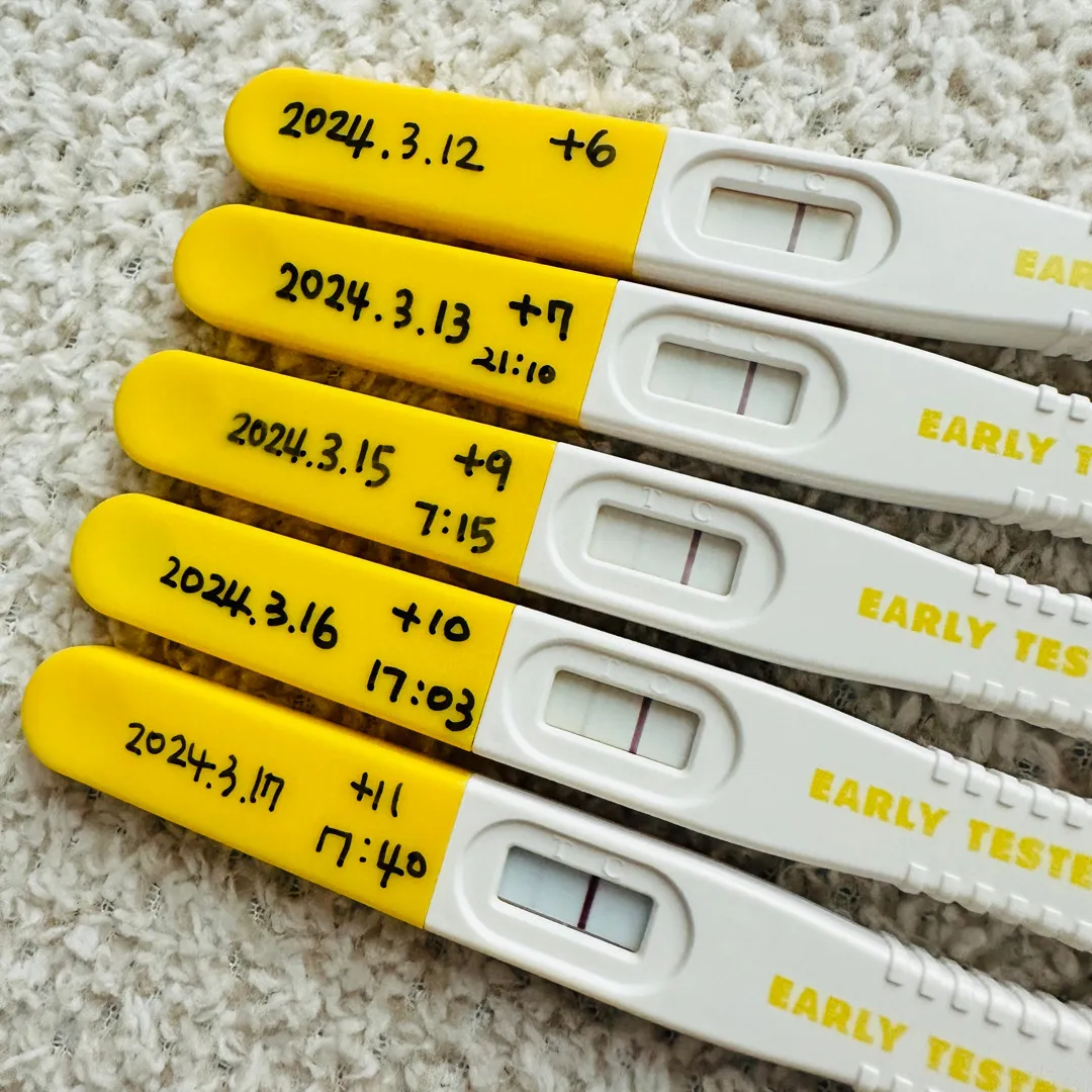 임테기가 안진해져요..