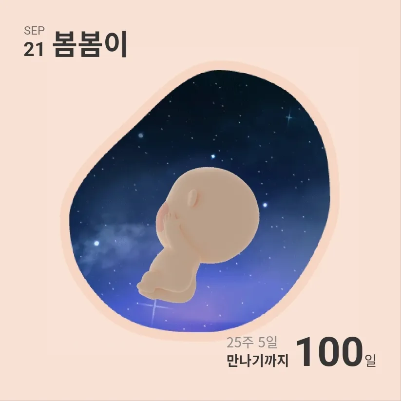 오늘100일