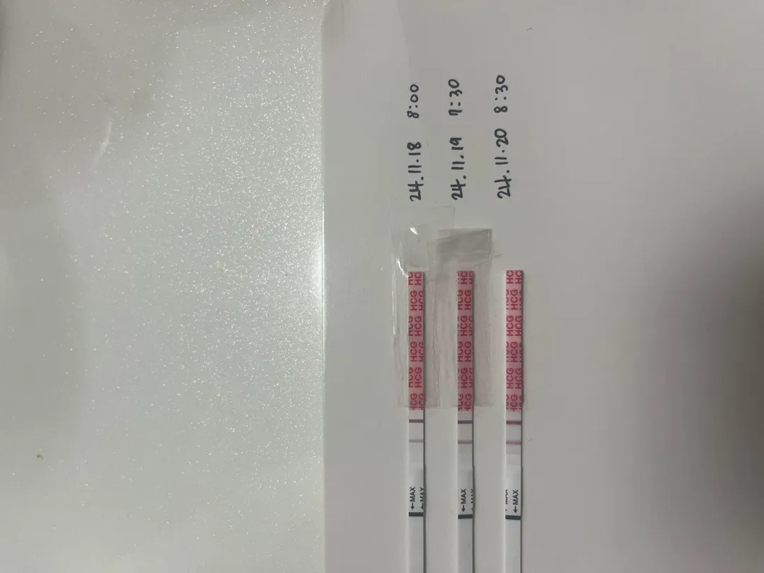 임테기가 안진해지는거같아요 ㅠㅠ