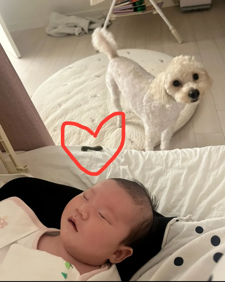이거 엄청난거죠??