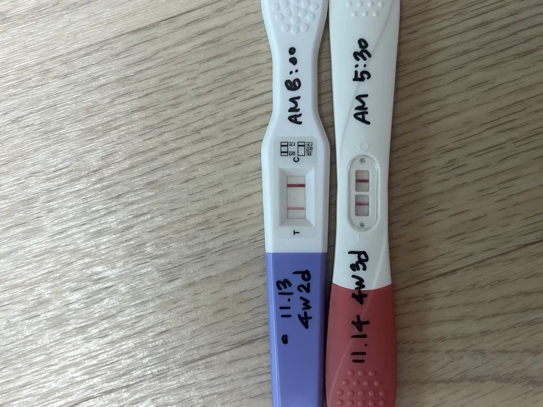 진하기 봐주세여!