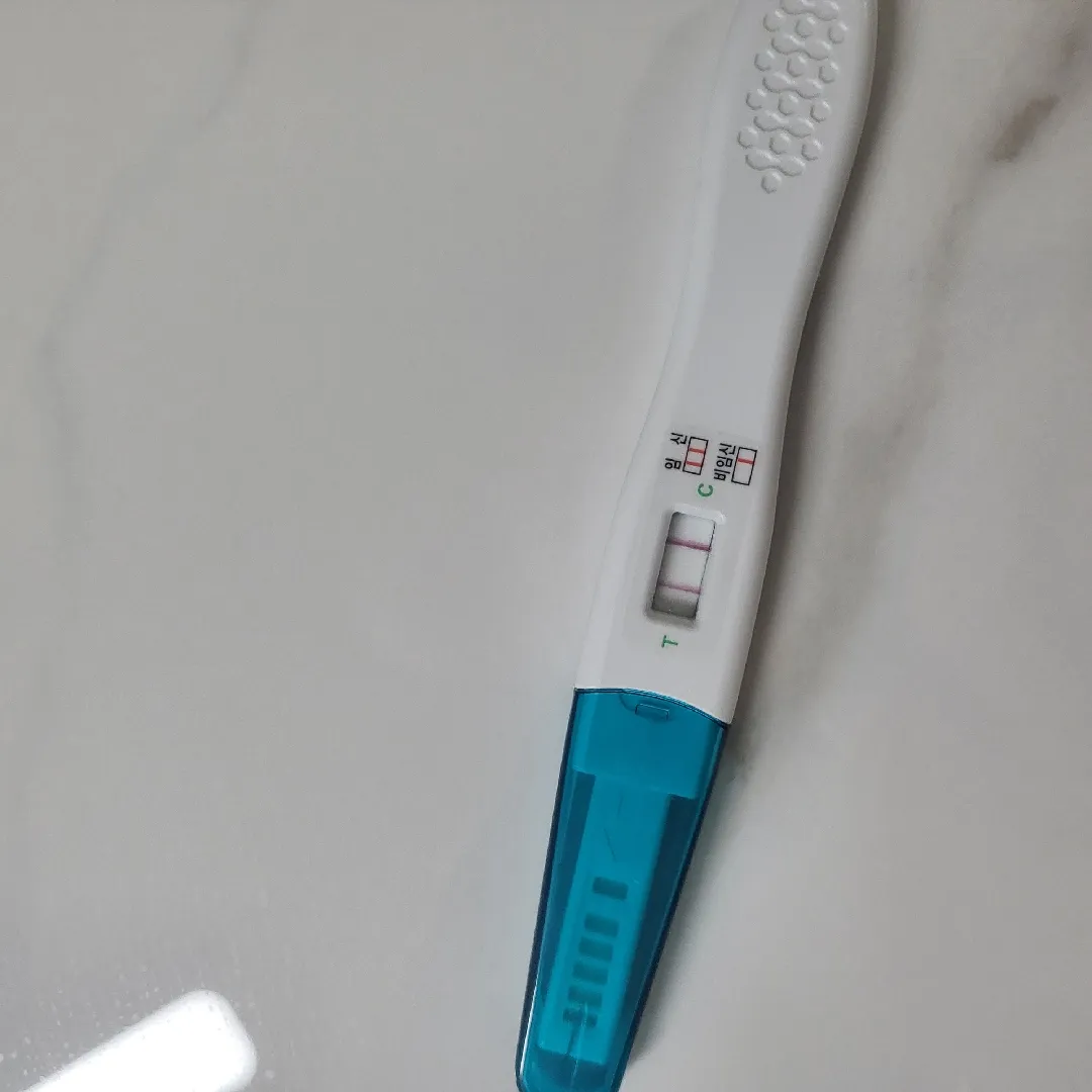 테스트기했는데